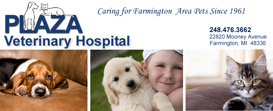 Welcome to Plaza Veterinary Hospital, 
located in Farmington, Michigan!