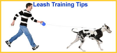 Leash Training Tips